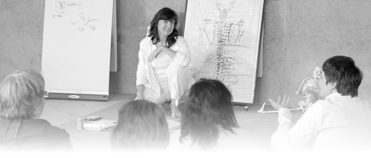 Enseignement Shiatsu Shin Sei